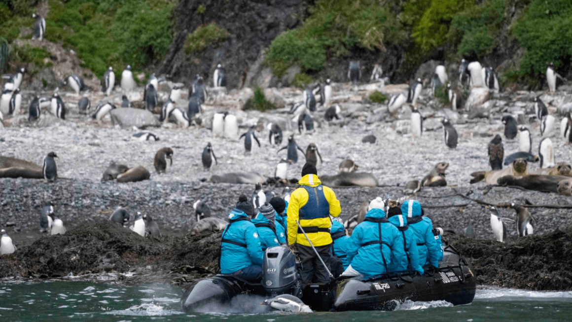 Grupo de viajeros en contacto con la naturaleza salvaje en la Antártida|